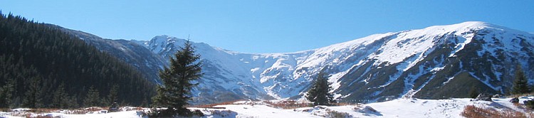 Leszek, Rams, ginekolog, położnik, leczenie, Olsztyn, Ostróda, oddział, gabinet, ordynator, szyjka, podtrzymanie ciąży, cytologia, krioterapia, nadżerka, macica, badanie, niepłodność, ciąża, USG, KTG, płód, 